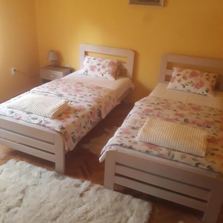Apartman "Dom Stankovica" Пирот Екстериор снимка