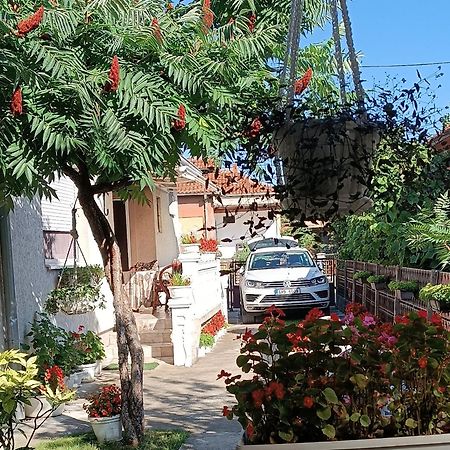 Apartman "Dom Stankovica" Пирот Екстериор снимка