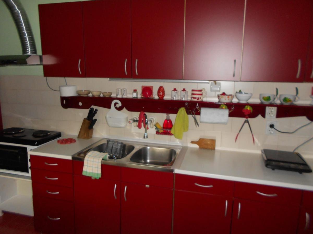 Apartman "Dom Stankovica" Пирот Екстериор снимка