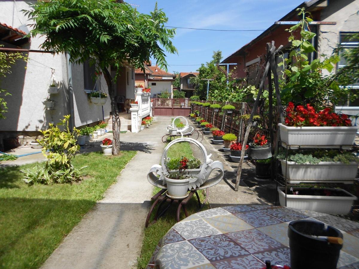 Apartman "Dom Stankovica" Пирот Екстериор снимка