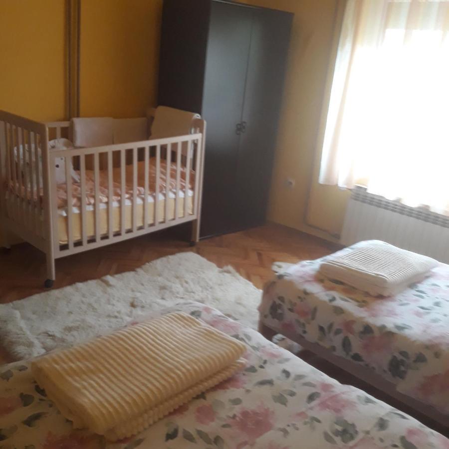 Apartman "Dom Stankovica" Пирот Екстериор снимка
