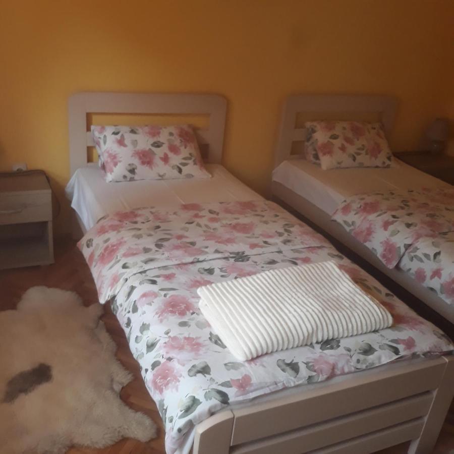 Apartman "Dom Stankovica" Пирот Екстериор снимка