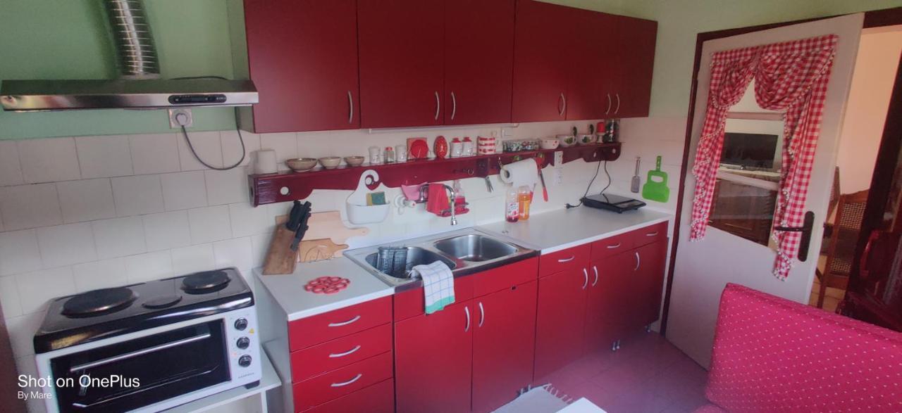 Apartman "Dom Stankovica" Пирот Екстериор снимка