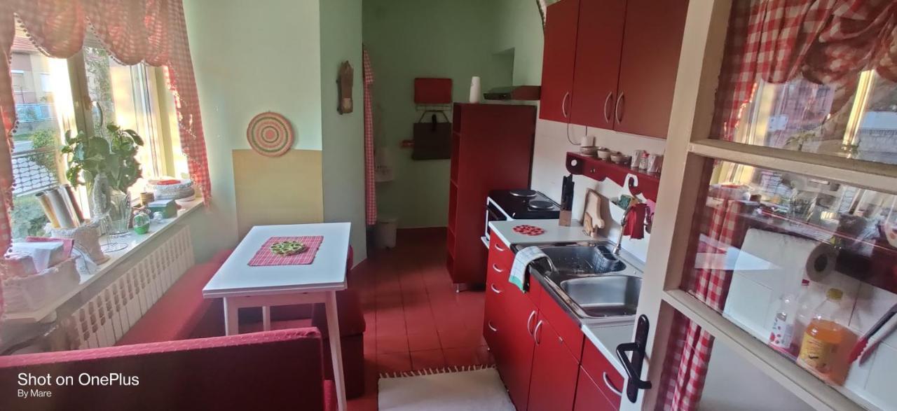 Apartman "Dom Stankovica" Пирот Екстериор снимка