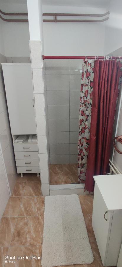 Apartman "Dom Stankovica" Пирот Екстериор снимка