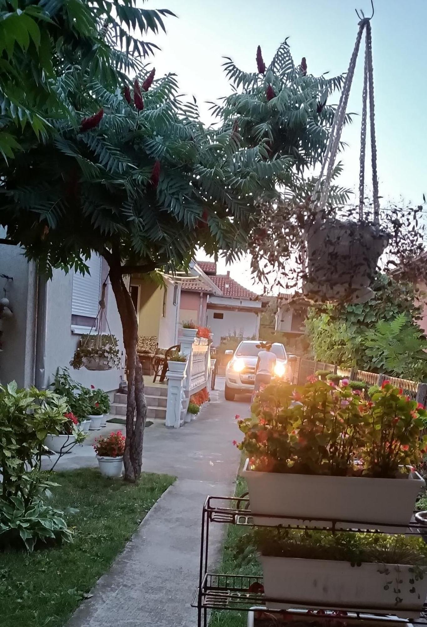 Apartman "Dom Stankovica" Пирот Екстериор снимка