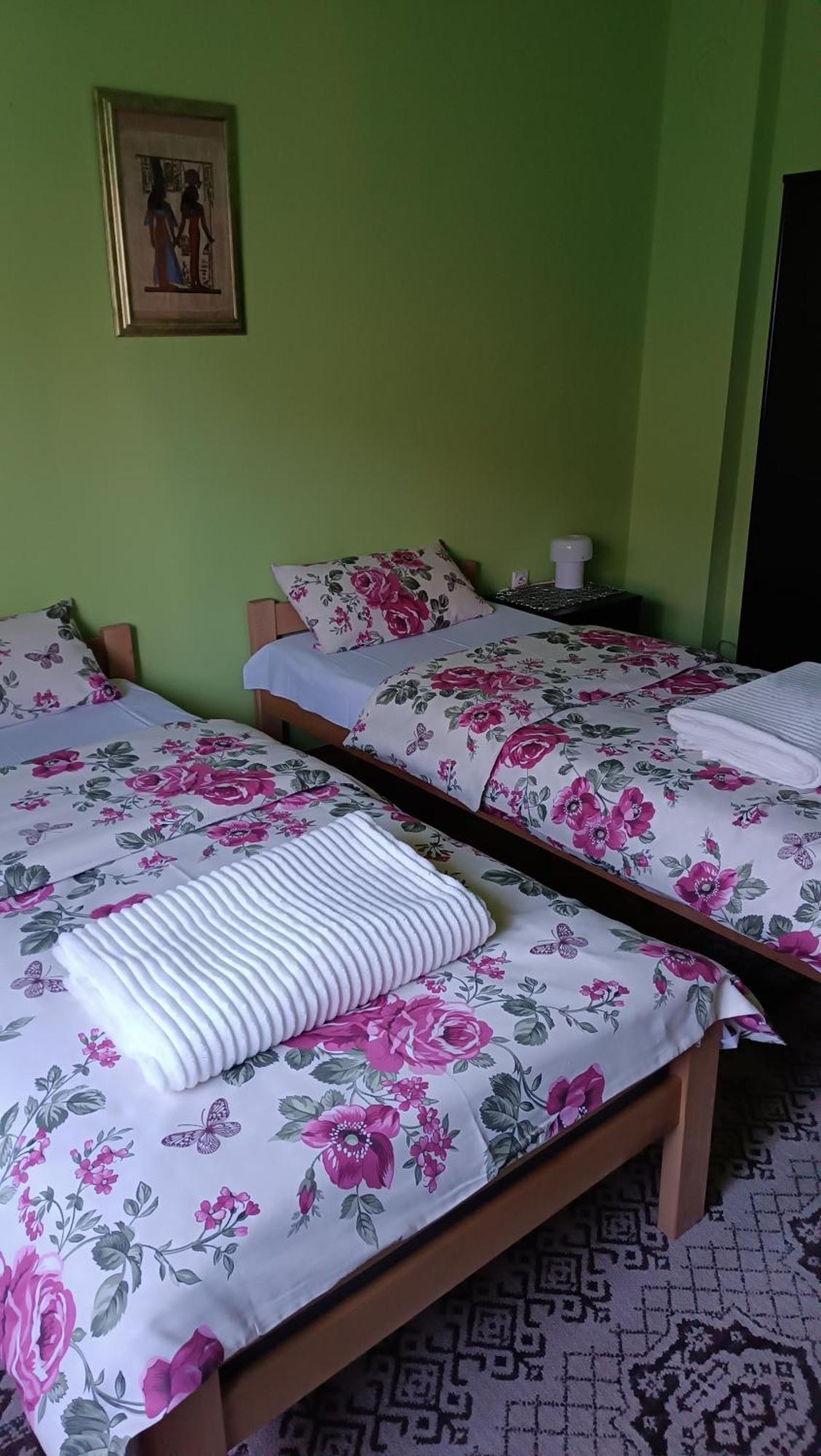 Apartman "Dom Stankovica" Пирот Екстериор снимка